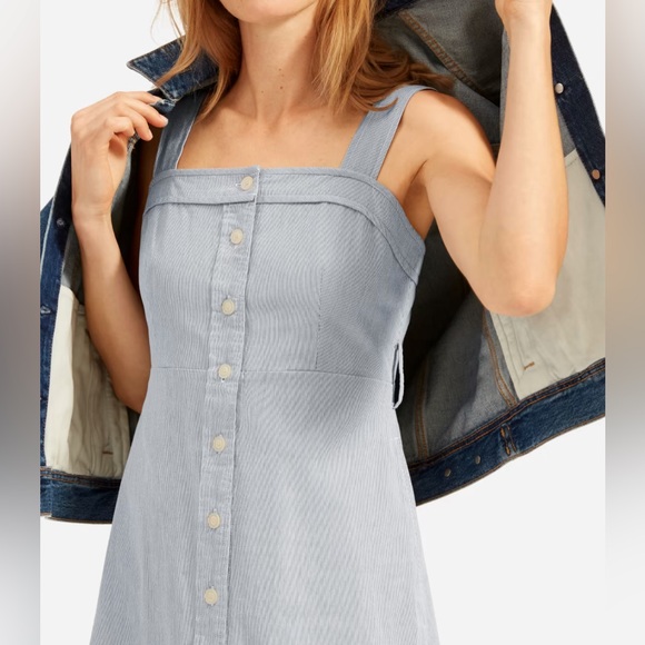 Everlane Picnic Dress 4 in pinstripe - Picture 2 of 8